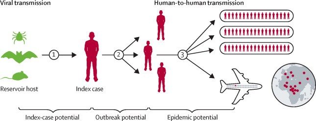 Conceptual progression of a viral hemorrhagic fever from animal reservoir to global pandemic